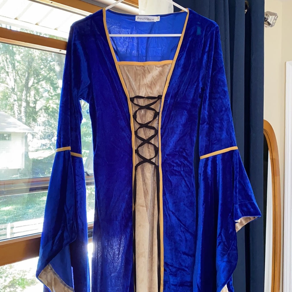 Royal blue and gold renaissance dress/costume